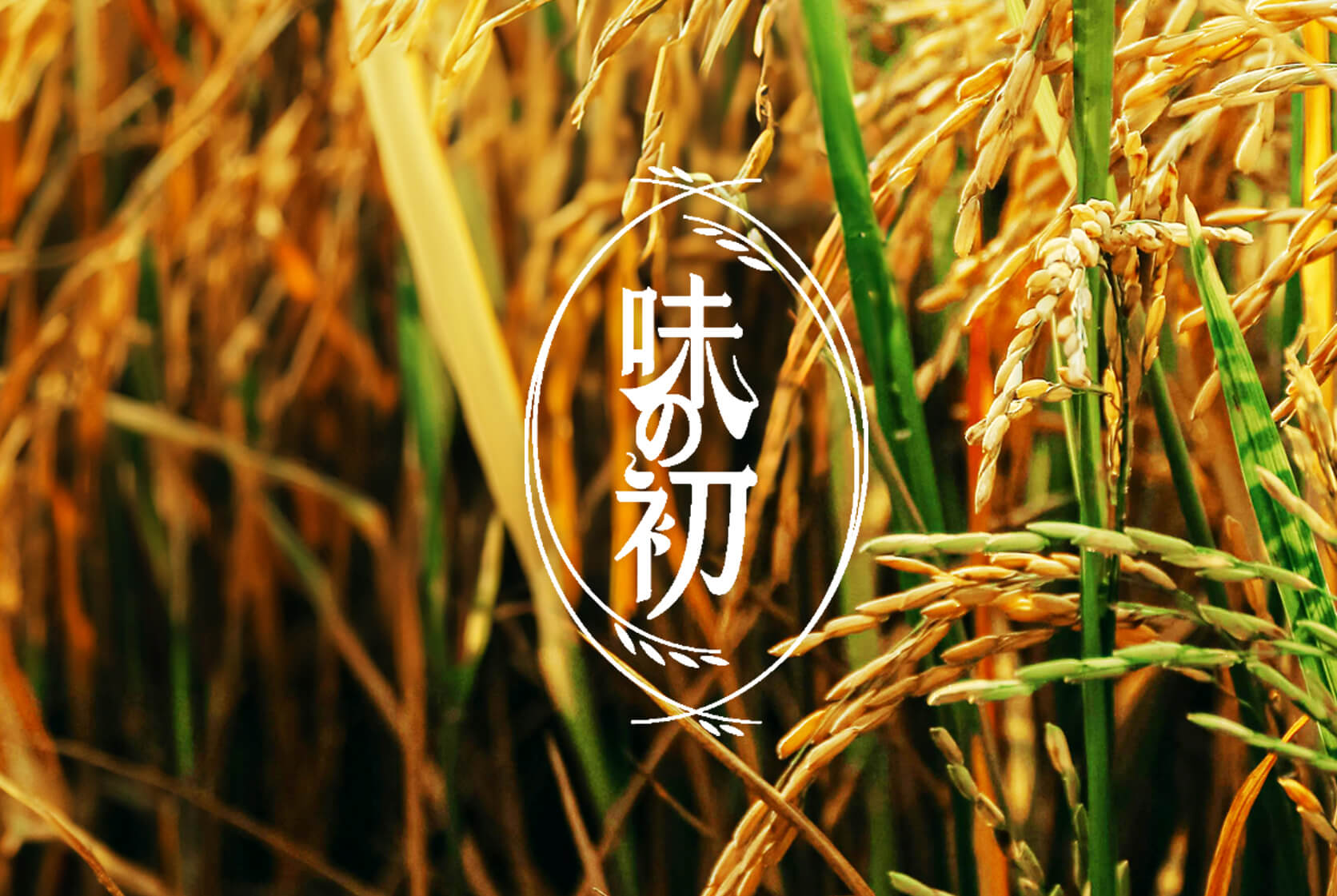 有田製菓 _味の初豆米菓系列包裝